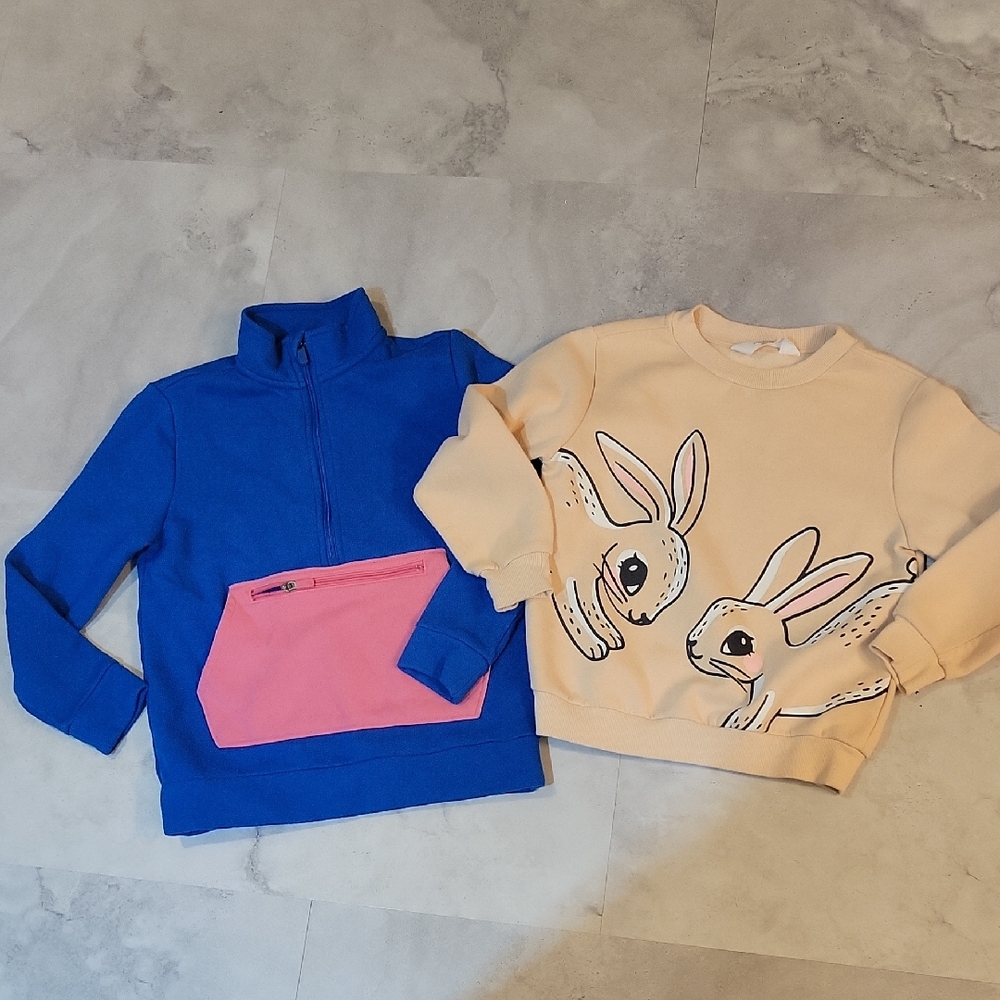 Blue and Pink Kids Sweatshirt Lot H&M Size Small
